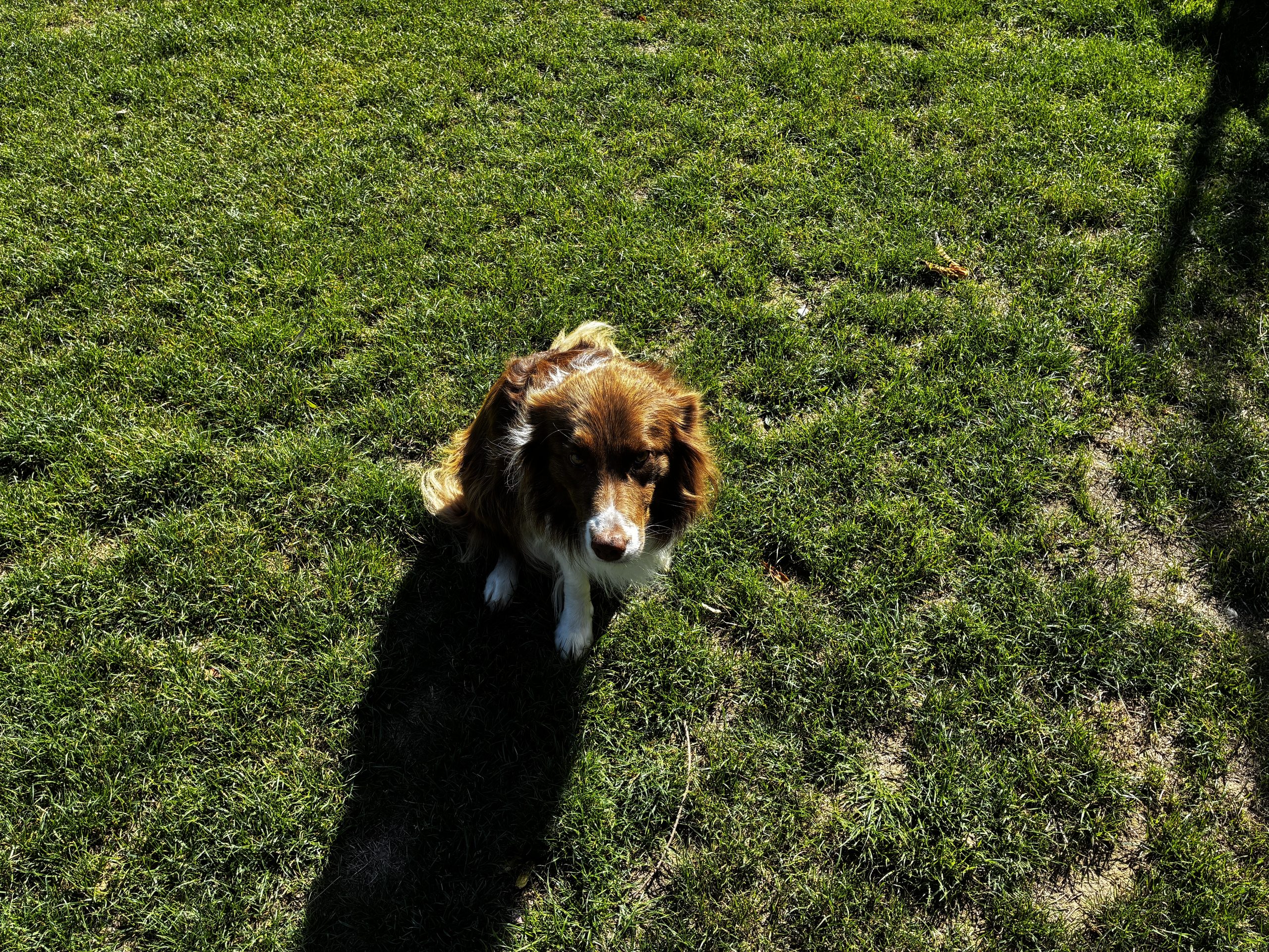 Luna ♥